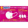 - 快適ガードマスク 白元アース 02601756
