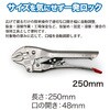 RT169-10CI オートグリッププライヤー 250mm REX(レックス)[自動車用品] 02614776