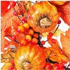 37-11-1-1 pvL[X a50cm HnEB 37-11-1V[Y AY 02628416