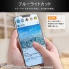 RT-P61F/SMG3 iPhone 17 ガラスフィルム マルチケースフィット 硬度10H BLC高透明 レイ・アウト 02653292