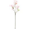 桜 横浜ディスプレイミュージアム