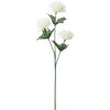 FF-3113 02661107