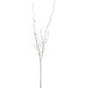 ショートブランチ 横浜ディスプレイミュージアム