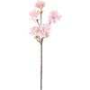 開花桜 横浜ディスプレイミュージアム