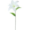 FFK-0008 02672691