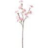たわわ桜 横浜ディスプレイミュージアム