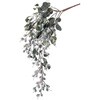 ユーカリテトラゴナハンギング 横浜ディスプレイミュージアム