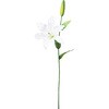 FE-1002 02686000