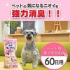 4994527943109 パックリンリキッド ピンクフローラルの香り アースペット 02695931
