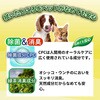 4994527891103 JOYPET(ジョイペット) オシッコ汚れ専用おそうじシート 各種 JOYPET 02696037