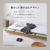 KB-3066-SS-NA ステージベッド ヘッドレス ロータイプ ベッドフレーム ローベッド すのこ【 選べる5サイズ SS/S/SD/D/Q】 萩原 02707420