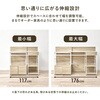 RCC-1420NA-S キッチンカウンター 大型レンジ対応 ごみ箱上ラック コンセント付き 間仕切り 背面化粧板 スチール【伸縮式 幅117～176cm】 萩原 02706178