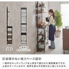 KTR-3224BB キッチンラック 突っ張り 棚 オープンラック シェルフ 高さ調節 壁面収納 選べるサイズ 【幅60/幅80cm】 萩原 02706072