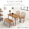BT-8626LNT-R ダイニングテーブル 4人用 幅120  4人掛け 長方形 カフェテーブル 韓国 インテリア 角型 コンパクト 萩原 02707928