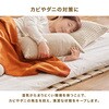 MB-5305S ロール式 すのこ ベッド 完成品 天然木 桐材 除湿 湿気 床置き 軽量 カビ対策 選べるサイズ 【セミシングル・シングル・セミダブル・ダブル】 萩原 02708628