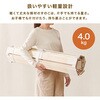 MB-5305S ロール式 すのこ ベッド 完成品 天然木 桐材 除湿 湿気 床置き 軽量 カビ対策 選べるサイズ 【セミシングル・シングル・セミダブル・ダブル】 萩原 02708628