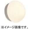ERB6059WC アウトドアブラケット LEDランプ40W形 乳白消ガラス 防湿防雨形 ENDO(遠藤照明) 02732166