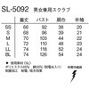 02737887,02737896,02737905,02737921,02737930,02737939
