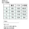 GJ-1586 җp iKC[x 02740048