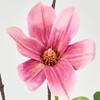 FM000269-016 和花こぶし MAGIQ(東京堂) 02752667