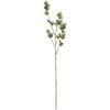 JV000155 正陽苔付松 MAGIQ(東京堂) 02753087