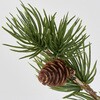 JV000155 正陽苔付松 MAGIQ(東京堂) 02753087