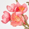 FM008391-052 彩り花枝 MAGIQ(東京堂) 02753541