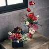 XV006126-020 フォレシダーピック MAGIQ(東京堂) 02752317