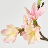 FM003914 ナチュールブロッサムブランチ MAGIQ(東京堂) 02753988