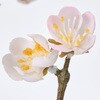FJ000241-001 吉兆梅 MAGIQ(東京堂) 02754512