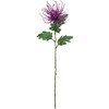 FM002651-017 まつり糸菊 MAGIQ(東京堂) 02755808