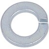 3MM プラケースラックコンテナ入りスプリングワッシャー2号(ばね座金)(鉄/ユニクロめっき) OHSATO(大里) 02760602