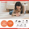 KY-76 このコ想いのタイルマット サンコー[日用品] 02770289
