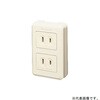 WKS112 リファインシリーズ 露出ダブルコンセント Panasonic(パナソニック) 02875122