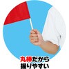 17593 小旗 アーテック[学校教材・教育玩具] 02876120