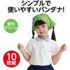17552 バンダナ アーテック[学校教材・教育玩具] 02876172