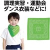 17552 バンダナ アーテック[学校教材・教育玩具] 02876172