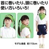 17552 バンダナ アーテック[学校教材・教育玩具] 02876172