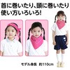17554 バンダナ アーテック[学校教材・教育玩具] 02876242
