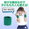 17603 ダンスリストバンド アーテック[学校教材・教育玩具] 02876269