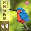 6085 やさしい超難解折紙 カワセミ トーヨー 02879306