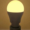 LDA3LG40WE17T3 40W相当LEDミニクリプトンランプ 東京メタル 02975292