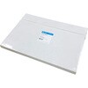 3030-917 ubeBOp뎆 p^(3MM Chr) Whatman(bg}) 03035541