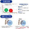 - 消臭袋 ペット用 日泉ポリテック 03100689