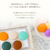 AR-M-PF 車用芳香剤 エアコン取付タイプ 大成商会 03101721