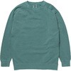 CC1566 9.5oz ガーメントダイ クルーネック スウェットシャツ COMFORT COLORS 03147982