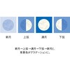 NK4480 ミニミニ日めくり moon 新日本カレンダー 03126029