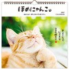 853181 CLWLほめにゃんこ 日本ホールマーク 03126440