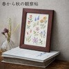 CSK542501 アトリエドノラ 穏やかな日々の刺しゅう時間 Cosmo[縫製用品] 03162779