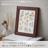 CSK542501 アトリエドノラ 穏やかな日々の刺しゅう時間 Cosmo[縫製用品] 03162779
